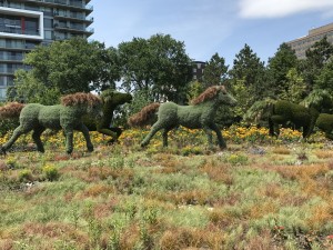 Mosaic Park Gatineau 2017 (31)